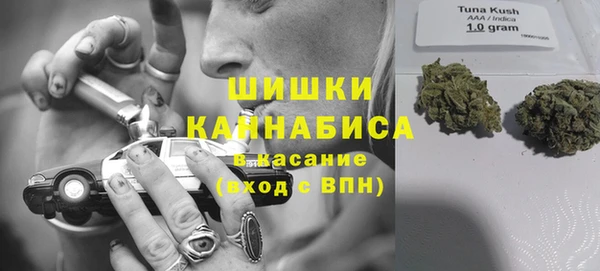 индика Алзамай
