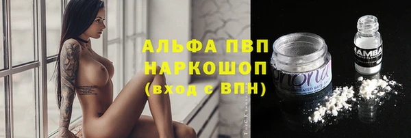 мет Алексин