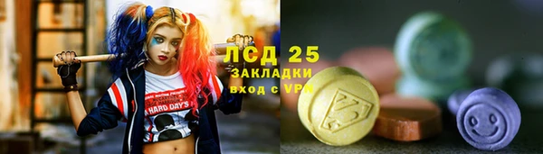 мет Алексин
