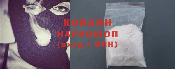 индика Алзамай