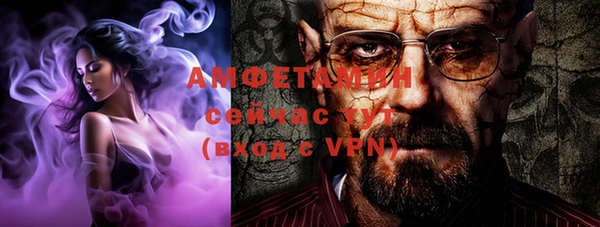 индика Алзамай