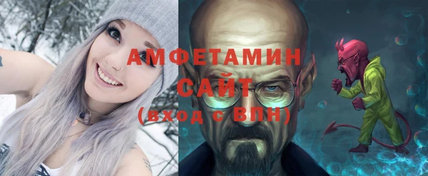 мет Алексин